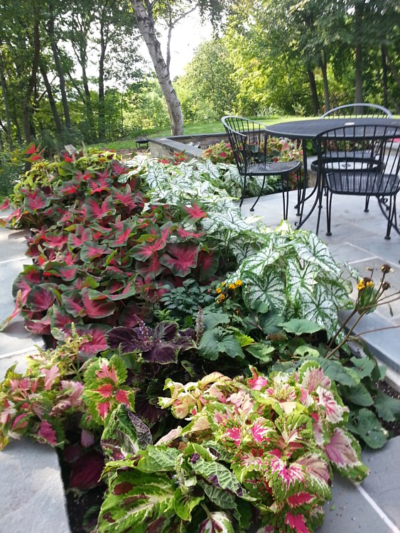 Landscape Maintenance, Lawn Care, Mowing, Brookfield, Wisconsin, WI